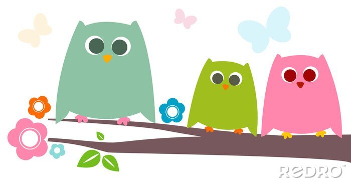 Behang Drie kleurrijke uilen