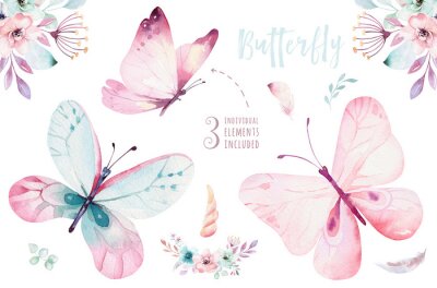 Drie pastelkleurige vlinders en bloemcomposities
