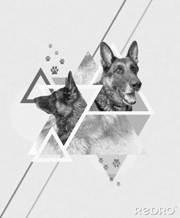 Behang Duits herderskunstwerk