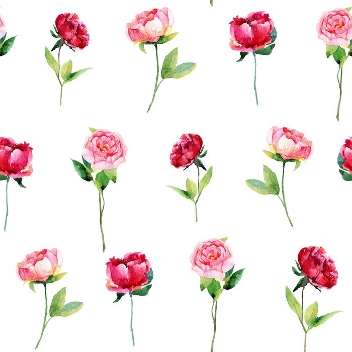 Behang Een enkele pioen op witte achtergrond