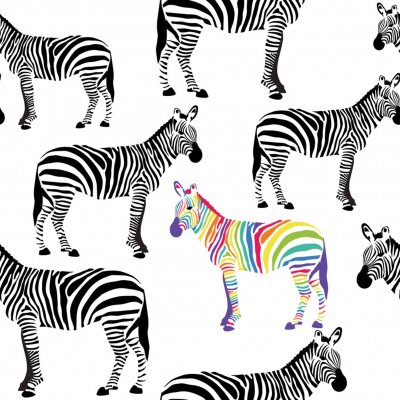 Eén kleurrijke zebra motief tussen zwart-witte