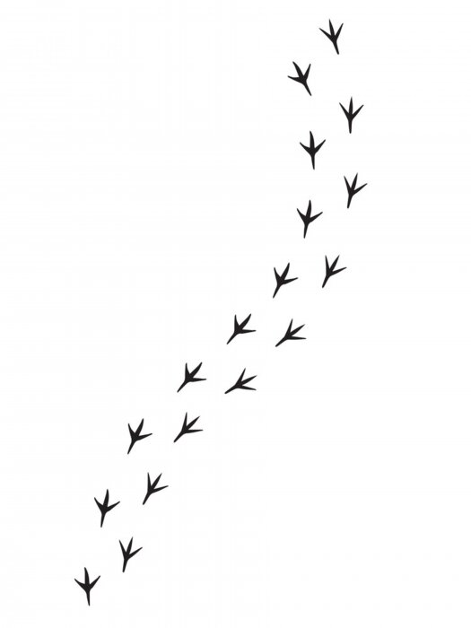 Behang Een spoor achtergelaten door een vogeltje