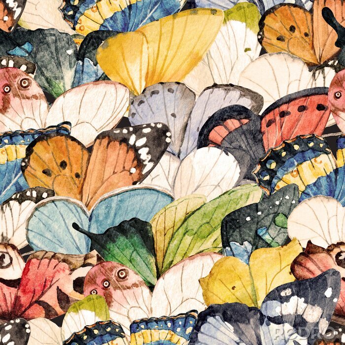 Behang Een zwerm kleurrijke vlinders