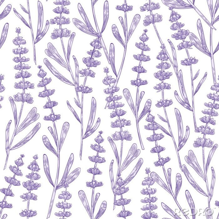 Behang Elegant seamless pattern with lavender flowers hand drawn on white background. Backdrop with meadow flowering plant, blooming wildflower used in aromatherapy. Monochrome botanical vector illustration.
