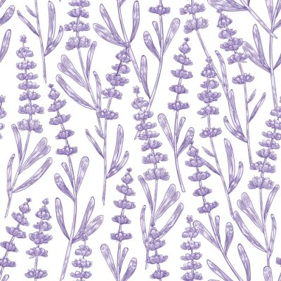 Behang Elegant seamless pattern with lavender flowers hand drawn on white background. Backdrop with meadow flowering plant, blooming wildflower used in aromatherapy. Monochrome botanical vector illustration.