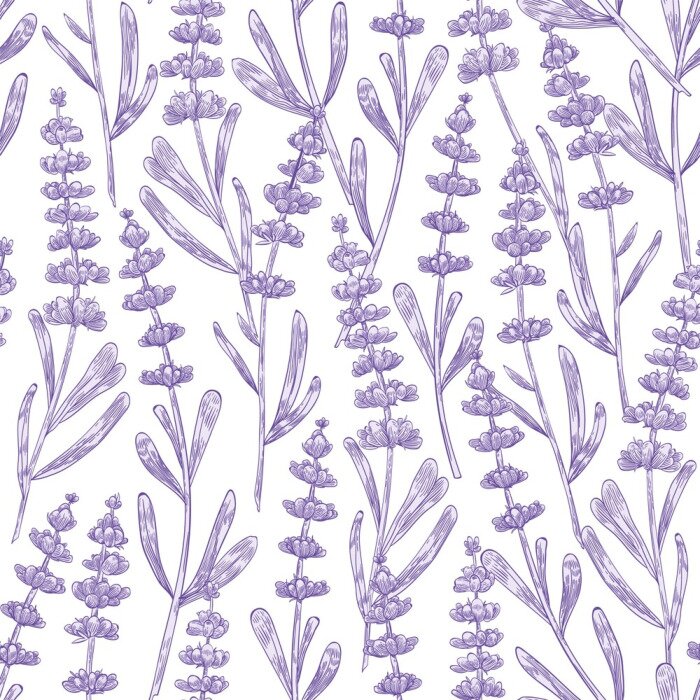 Behang Elegant seamless pattern with lavender flowers hand drawn on white background. Backdrop with meadow flowering plant, blooming wildflower used in aromatherapy. Monochrome botanical vector illustration.
