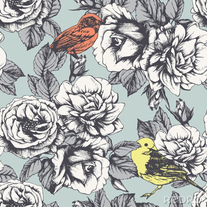 Behang Engelse rozen en kleurrijke grafische vogels
