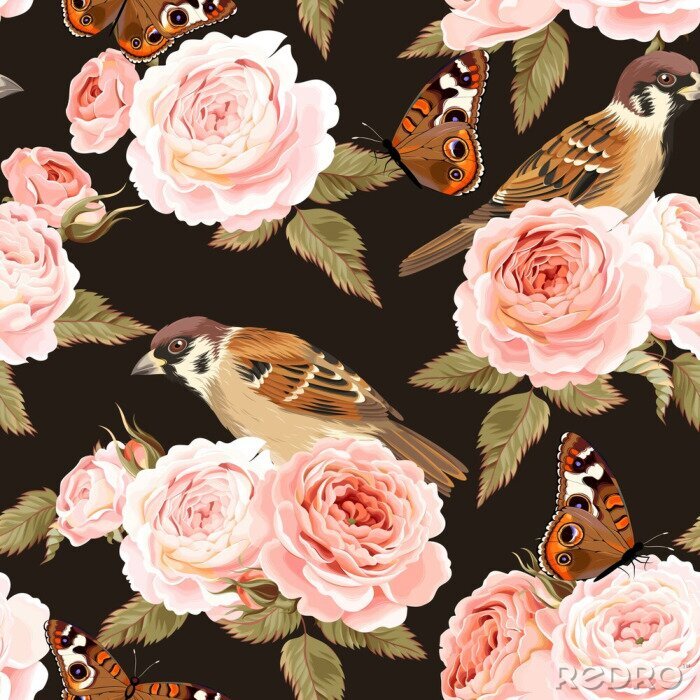 Behang Engelse rozen vogeltjes en vlinders