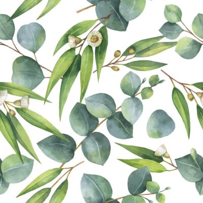 Behang Eucalyptus groen struikgewas