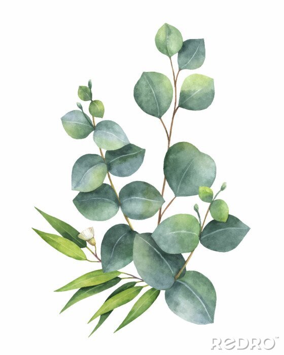Behang Eucalyptusbladeren aan bruine twijgen