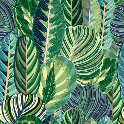 Behang Exotische bladeren uit de tropen