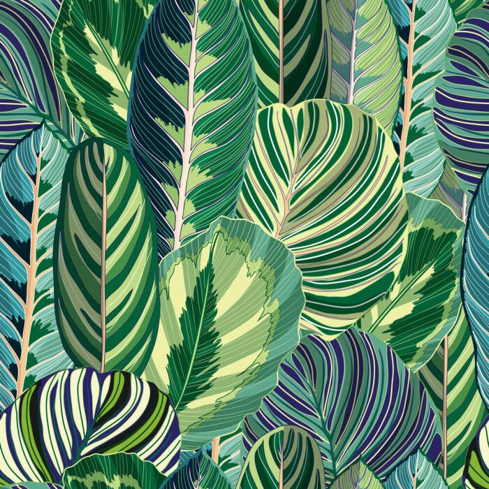 Behang Exotische bladeren uit de tropen