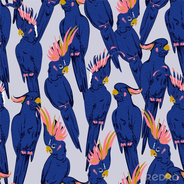 Behang Exotische blauwe kaketoe vogels