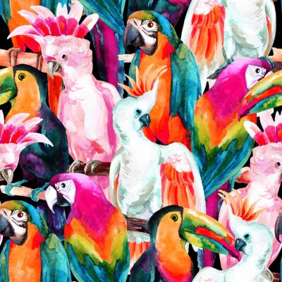 Behang Exotische kleurrijke papegaaivogels