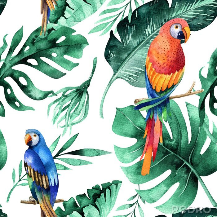 Behang Exotische papegaaien op de bladeren