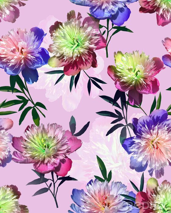 Behang Expressieve roze-blauwe pioenrozen