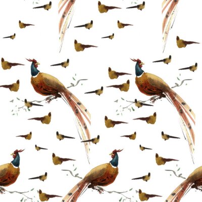 Behang Fazanten op een witte achtergrond