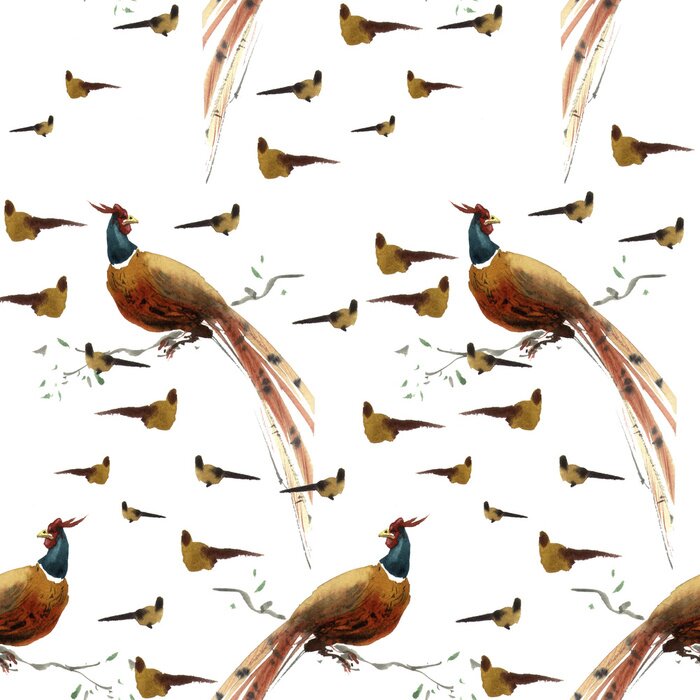 Behang Fazanten op een witte achtergrond