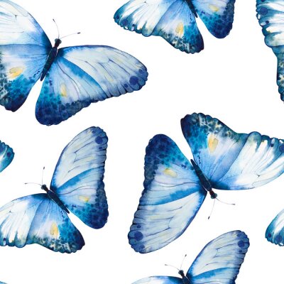 Behang Fijne blauwe vlinders op een witte achtergrond