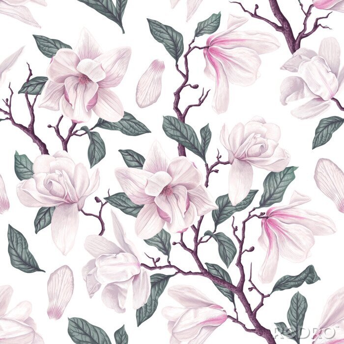 Behang Floral seamless pattern with white Anise magnolia flowers, leaves and petals on white background. Pastel vintage theme with realistic, vector, spring flowers for fabric, prints, greeting cards.