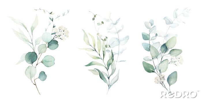 Behang Florale composities in aquarel