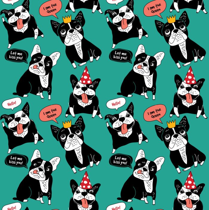Behang Franse bulldoggen op gekleurde achtergrond
