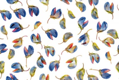 Behang Gedroogde lupineknoppen