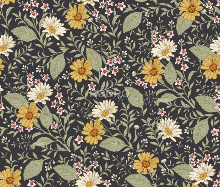 Behang Gele en witte calendula bloemen