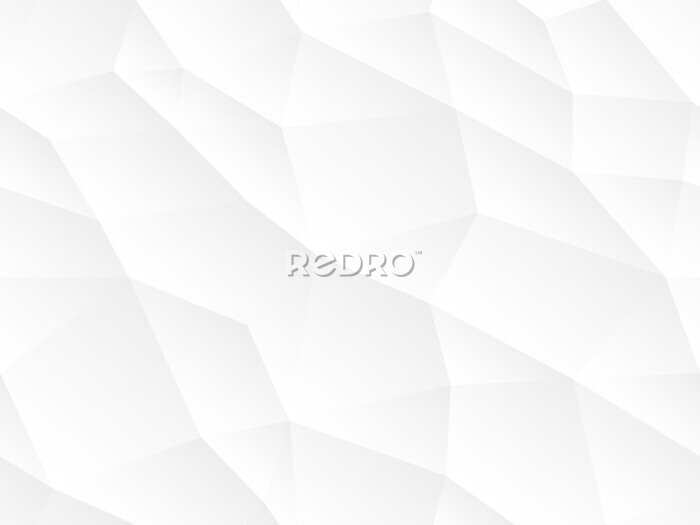 Behang Geometrische patronen in wit en grijs