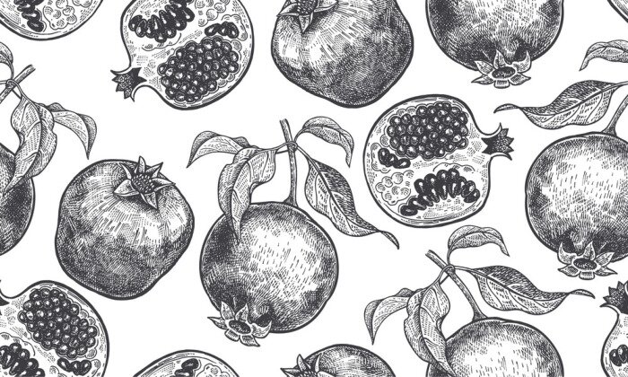 Behang Geschetst granaatappelfruit met bladeren