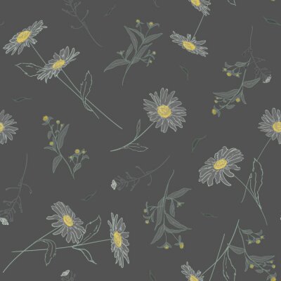 Behang Getekende veldplanten op een donkere achtergrond