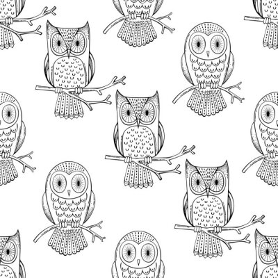 Behang Getekende zwart-witte uilen