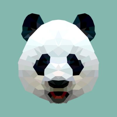Grafisch ontwerp met panda