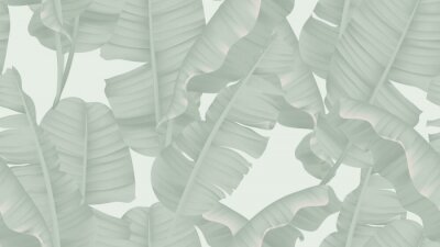 Behang Grijze bananenbladeren
