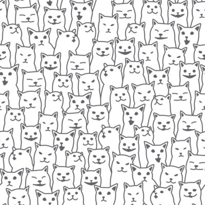 Grijze katten met verschillende gezichten