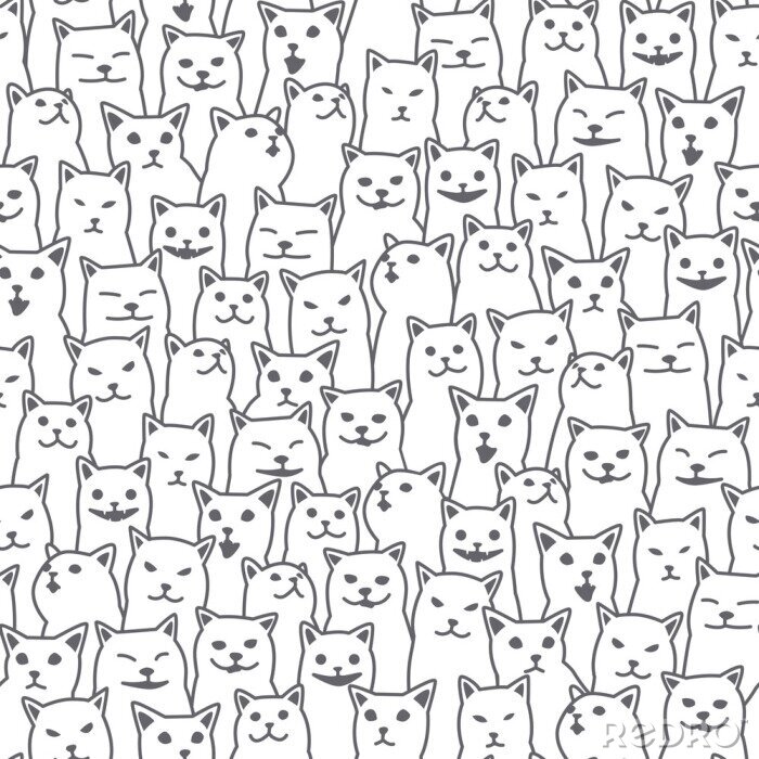 Behang Grijze katten met verschillende gezichten