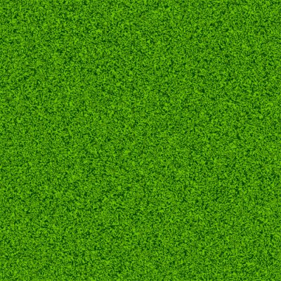 Behang Groenachtig gemaaid gras