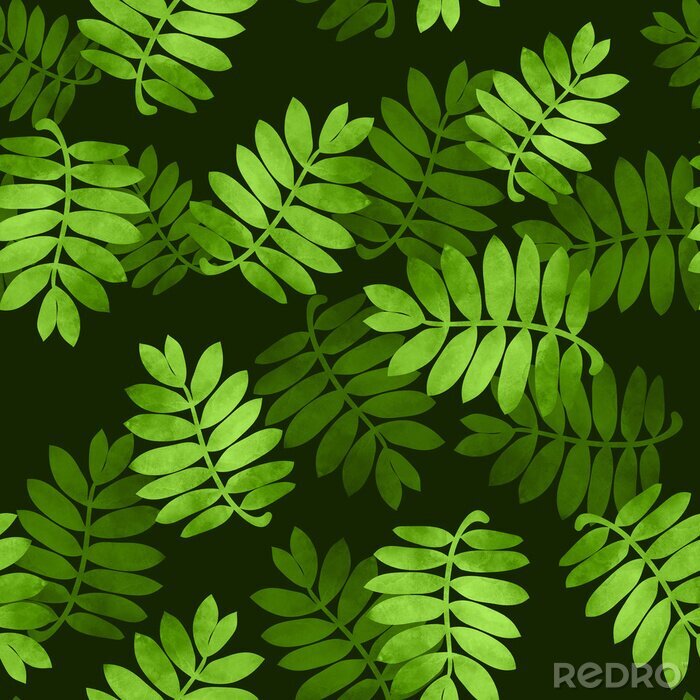 Behang Groene bladeren tussen zwart