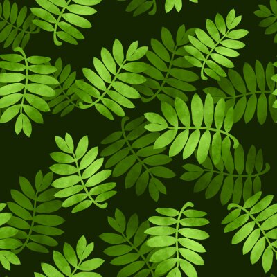 Behang Groene bladeren tussen zwart