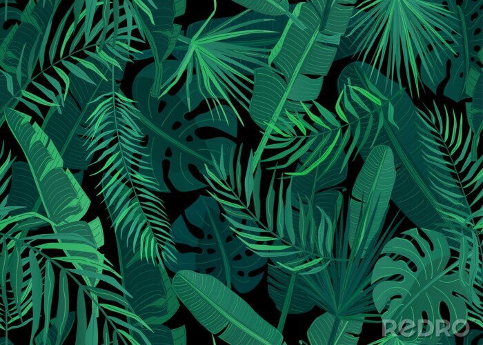 Behang Groene tropische bladeren op een zwarte achtergrond