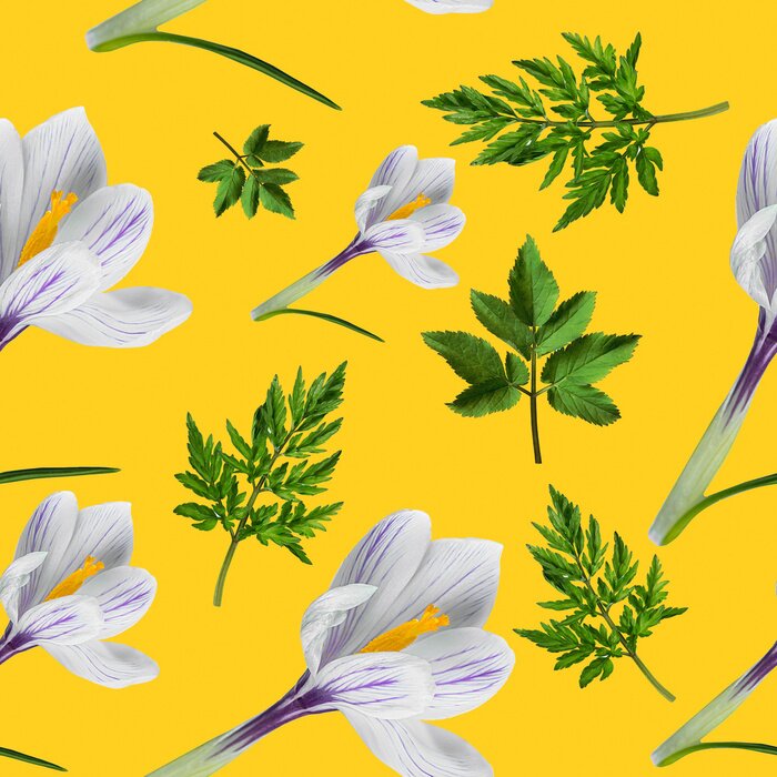 Behang Groene vegetatie met witte krokussen