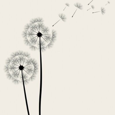 Grote paardebloem bloemen