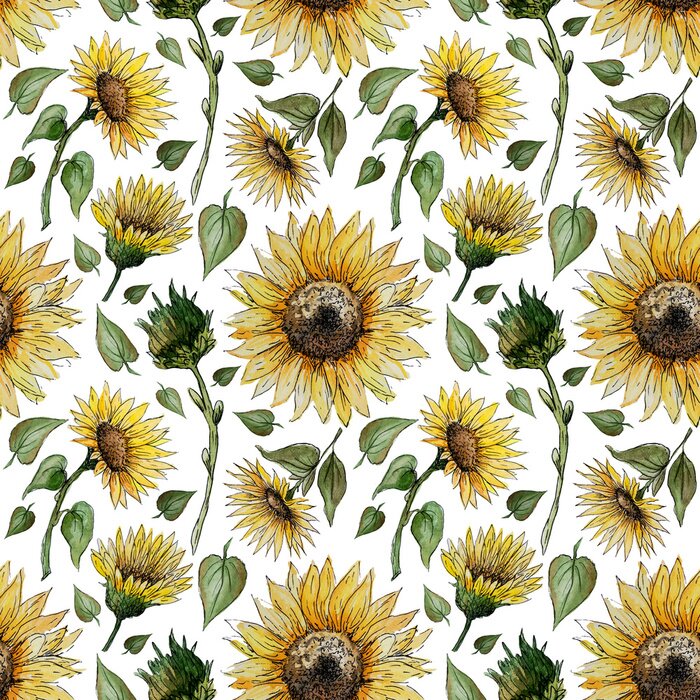 Behang Hand drawn watercolor seamless pattern with sunflower flowers on a white background for your disign.