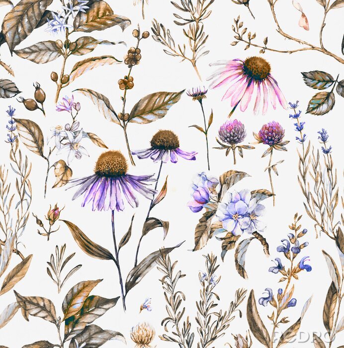 Behang -Hand getekende aquarel naadloos botanische patroon met verschillende planten. Herhaalde natuurlijke achtergrond met weide en geneeskrachtige planten: echinacea, koffie, lavendel etc.