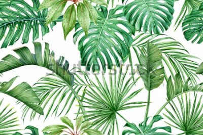 Behang Handgeschilderde palmbladeren