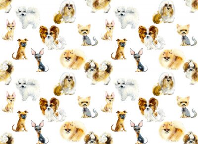 Behang Honden van verschillende kleine rassen