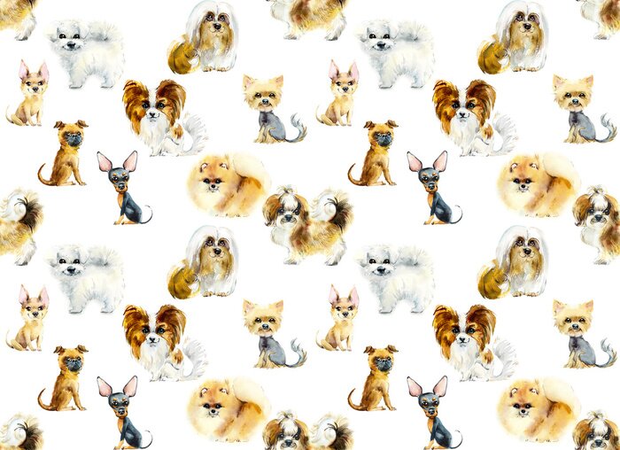Behang Honden van verschillende kleine rassen