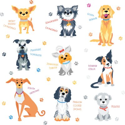 Behang Honden van verschillende rassen letters en pootafdrukken