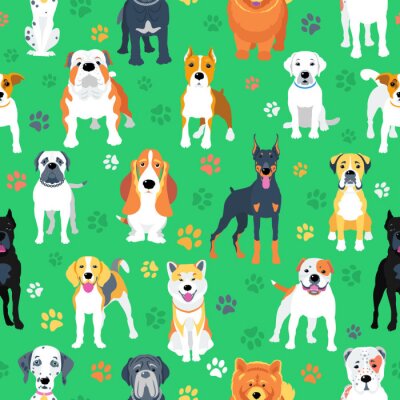 Honden van verschillende rassen op een groene achtergrond