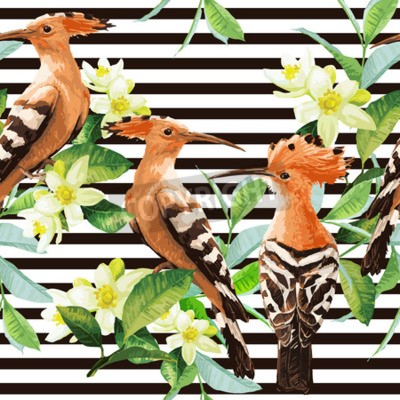 Behang Hoopoes op zwarte en witte strepen